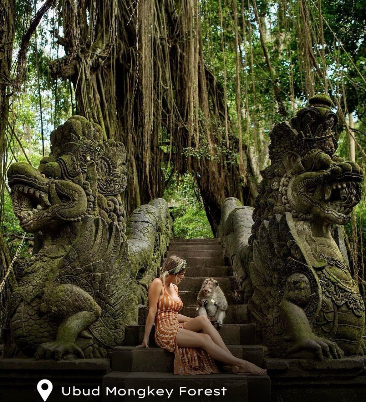 Long-tailed macaque monkeys at Sacred Monkey Forest Ubud Bali