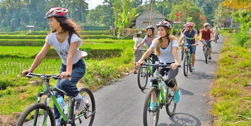 Cycling through lush green rice paddies on a peaceful morning in rural Bali